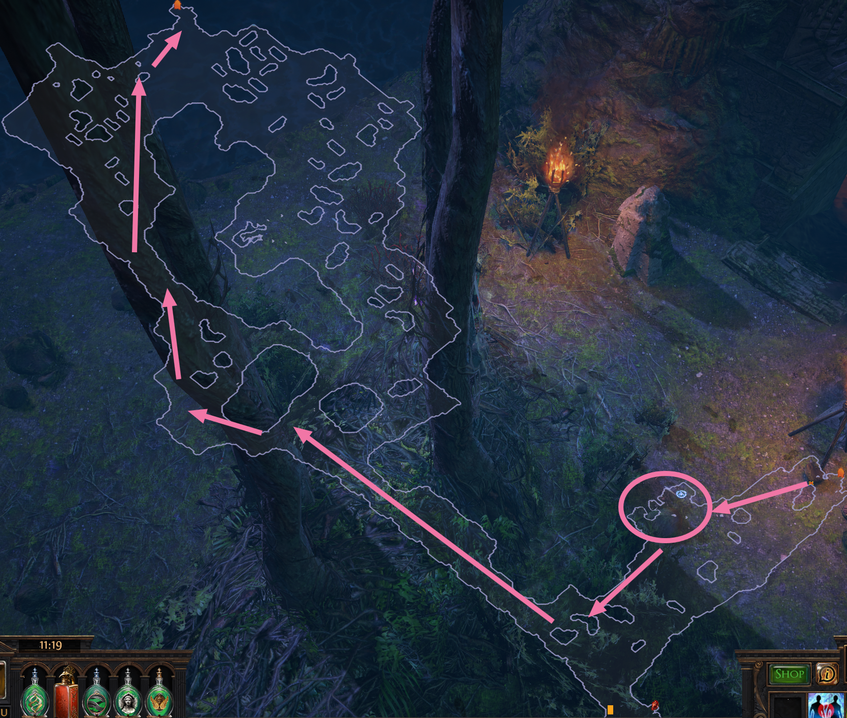 Northern Forest Variant 3